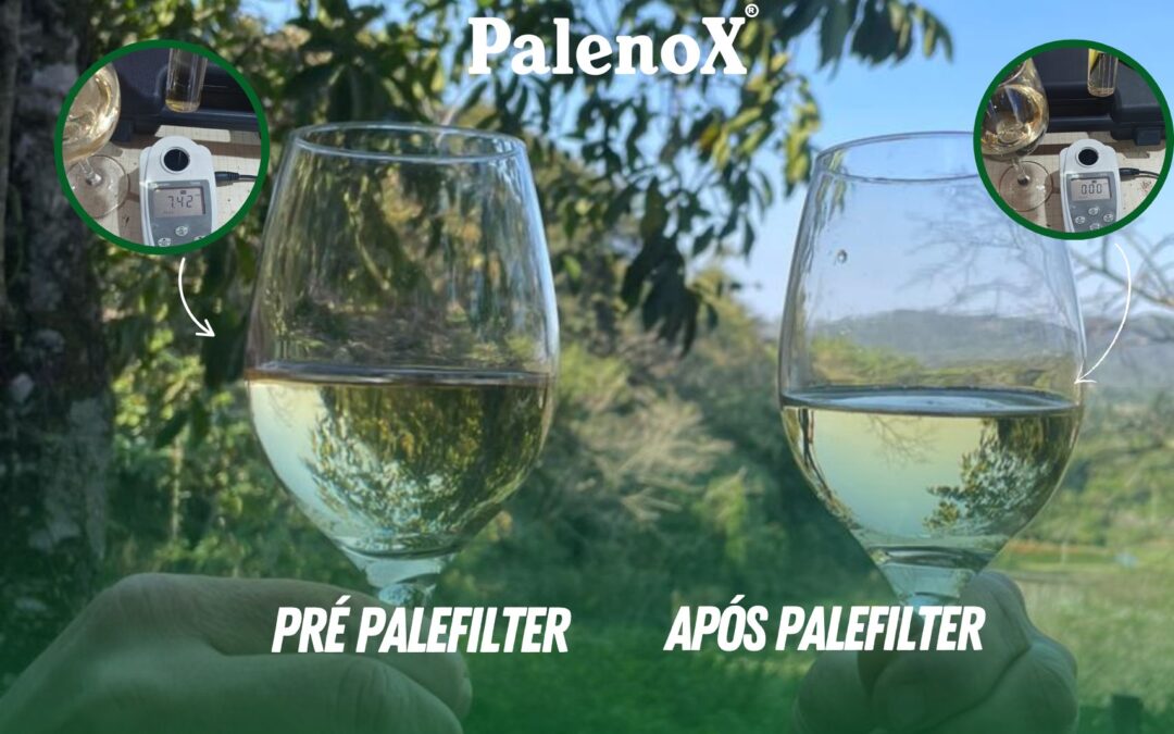Filtro a Velas Palenox: clareza e refinamento para o vinho